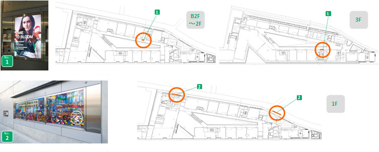 コルトン‐Ｎｏ １