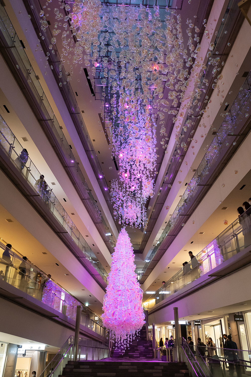 tree02.jpg